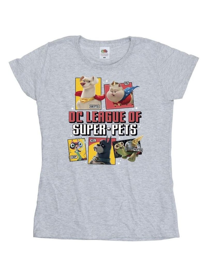 DC Comics - T-shirt DC LEAGUE OF SUPER-PETS Gris chiné - Kiabi