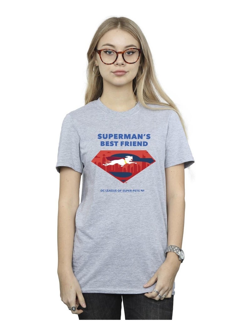 DC Comics - T-shirt DCS DC LEAGUE OF SUPER-PETS BEST FRIEND Gris chiné - Kiabi