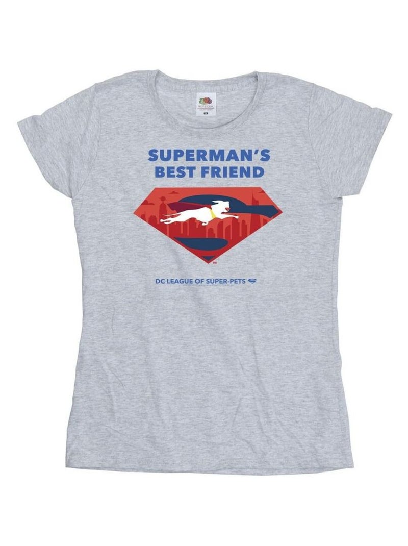 DC Comics - T-shirt DCS DC LEAGUE OF SUPER-PETS BEST FRIEND Gris chiné - Kiabi