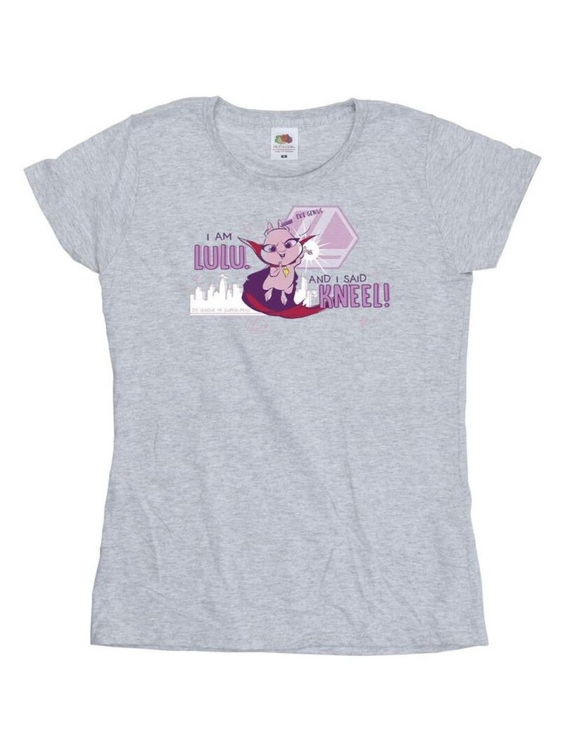 DC Comics - T-shirt DCS DC LEAGUE OF SUPER-PETS EVIL GENIUS Gris chiné - Kiabi