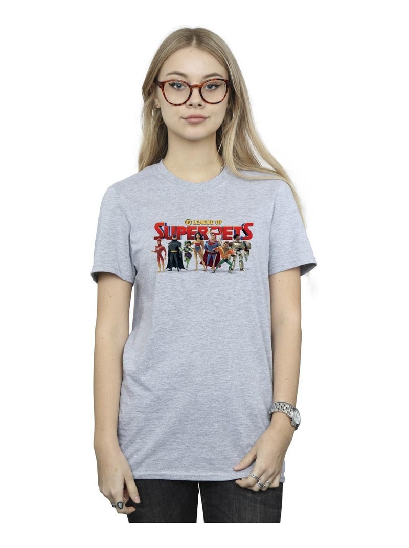 DC Comics - T-shirt DCS DC LEAGUE OF SUPER-PETS Gris chiné - Kiabi