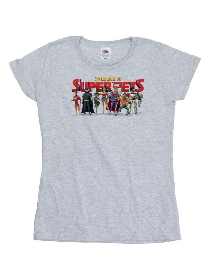 DC Comics - T-shirt DCS DC LEAGUE OF SUPER-PETS Gris chiné - Kiabi