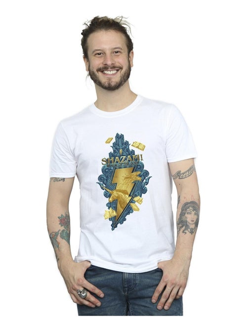DC Comics - T-shirt FURY OF THE GODS - Kiabi