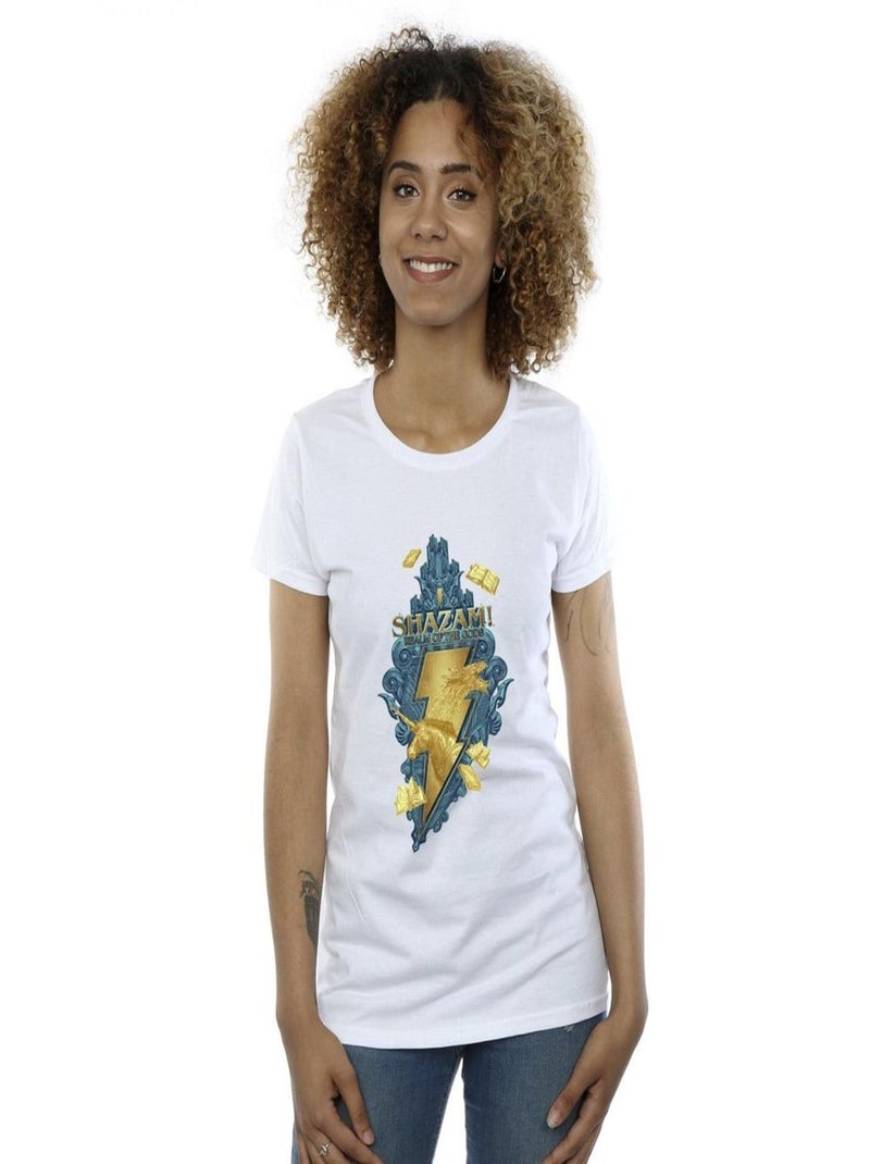 DC Comics - T-shirt FURY OF THE GODS Blanc - Kiabi