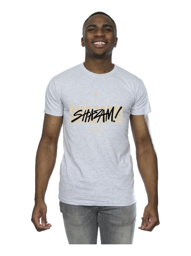 DC Comics - T-shirt FURY OF THE GODS Gris chiné - Kiabi