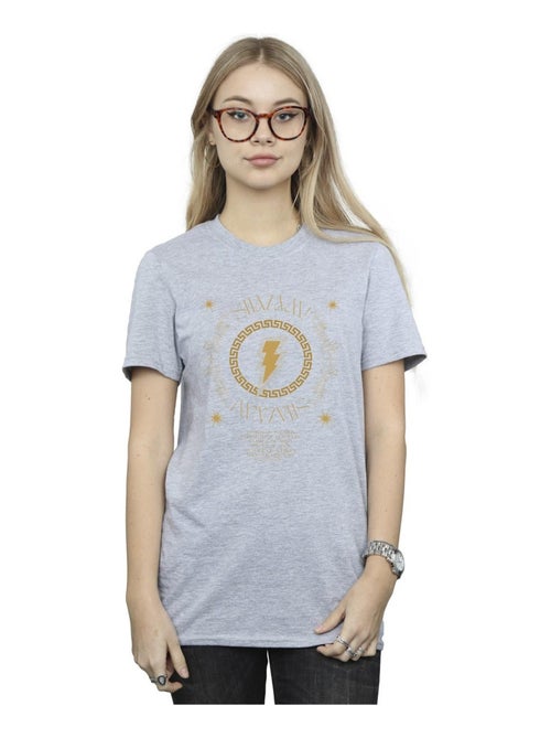 DC Comics - T-shirt FURY OF THE GODS - Kiabi