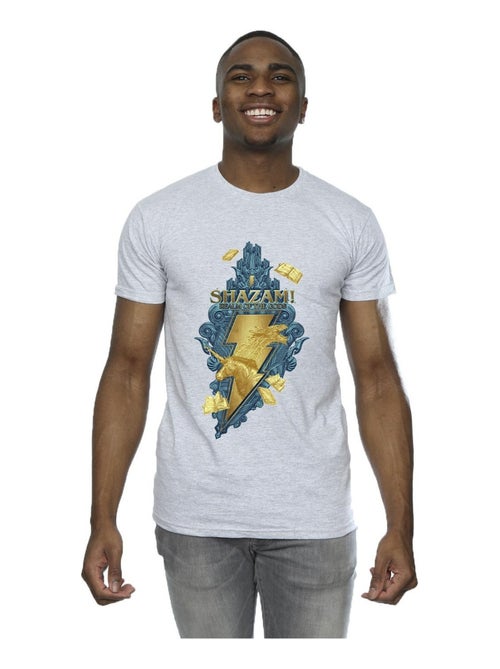 DC Comics - T-shirt FURY OF THE GODS - Kiabi