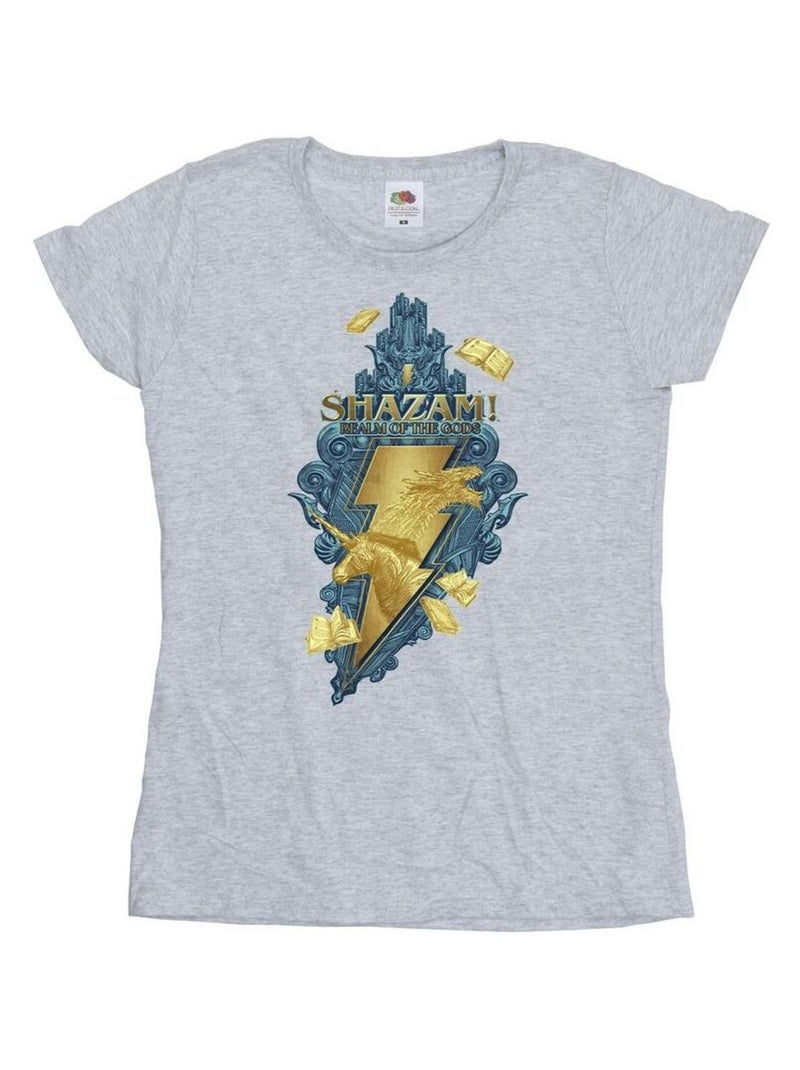 DC Comics - T-shirt FURY OF THE GODS Gris chiné - Kiabi