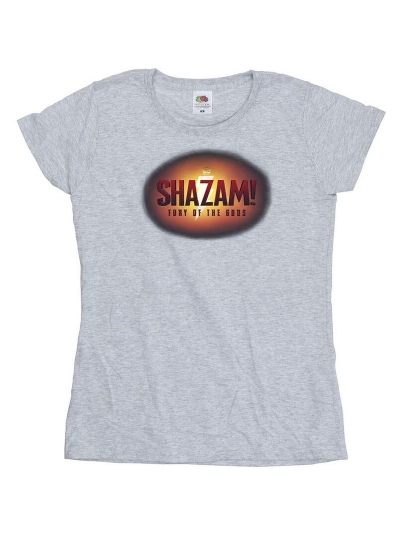 DC Comics - T-shirt FURY OF THE GODS Gris chiné - Kiabi