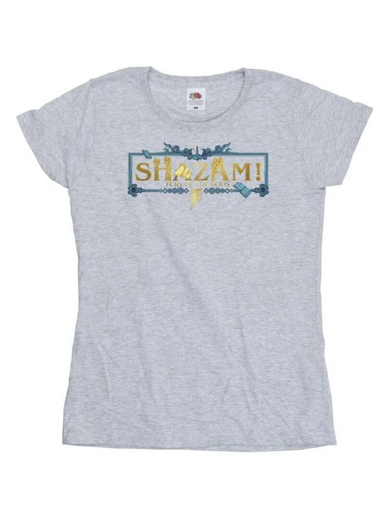 DC Comics - T-shirt FURY OF THE GODS Gris chiné - Kiabi