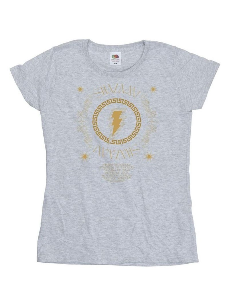 DC Comics - T-shirt FURY OF THE GODS Gris chiné - Kiabi