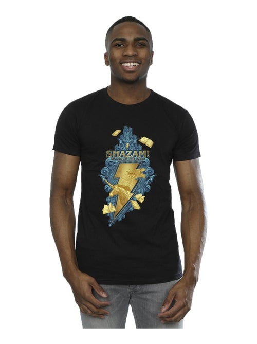 DC Comics - T-shirt FURY OF THE GODS - Kiabi