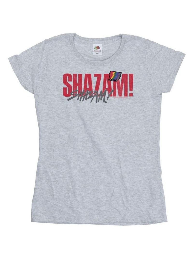 DC Comics - T-shirt FURY OF THE GODS PRIDE Gris chiné - Kiabi