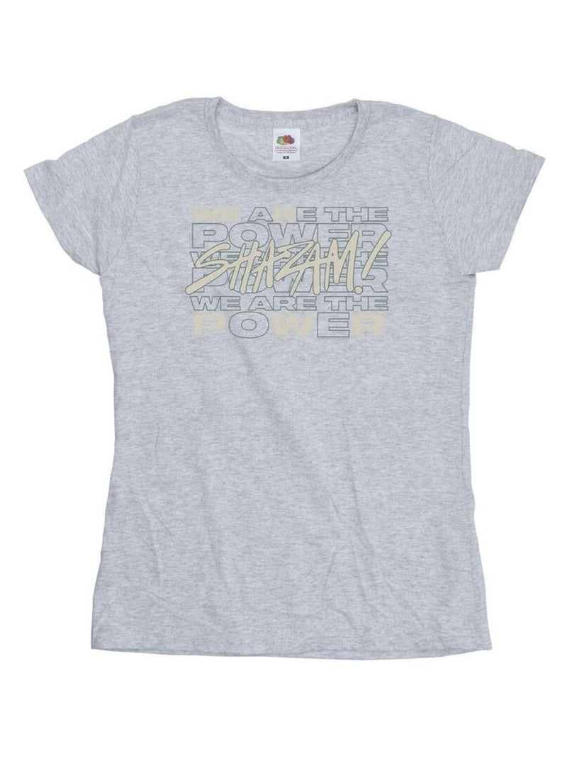 DC Comics - T-shirt FURY OF THE GODS WE ARE THE POWER Gris chiné - Kiabi