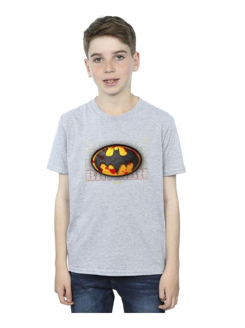 DC Comics - T-shirt Gris chiné - Kiabi