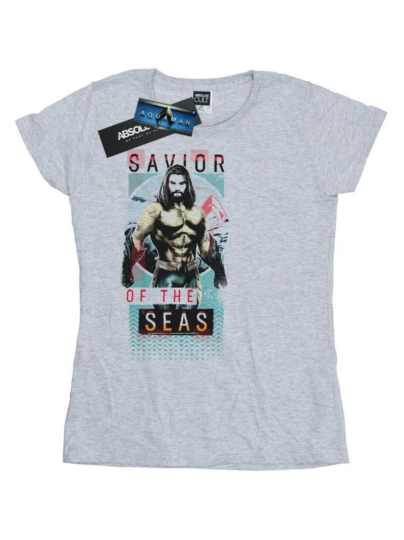 DC Comics - T-shirt SAVIOUR OF THE SEAS Gris chiné - Kiabi