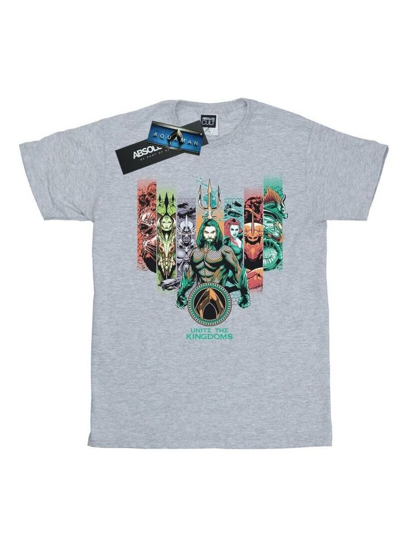 DC Comics - T-shirt UNITE THE KINGDOMS Gris chiné - Kiabi
