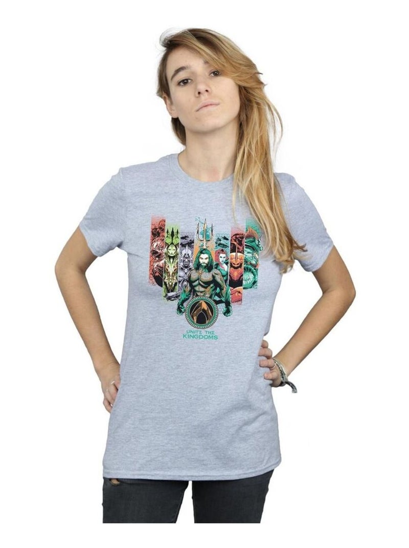 DC Comics - T-shirt UNITE THE KINGDOMS Gris chiné - Kiabi