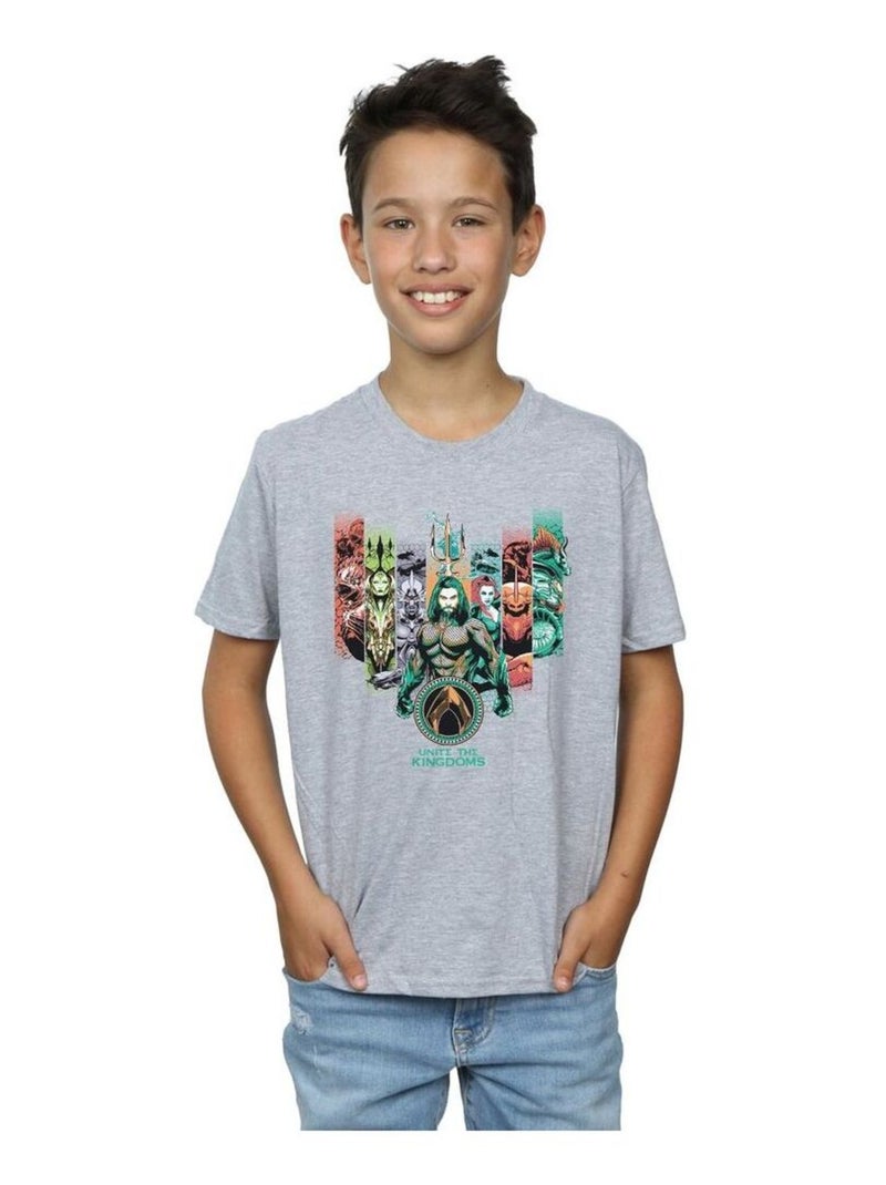 DC Comics - T-shirt UNITE THE KINGDOMS Gris chiné - Kiabi