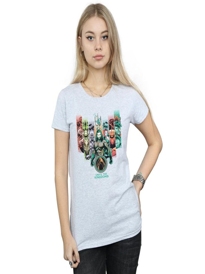 DC Comics - T-shirt UNITE THE KINGDOMS Gris chiné - Kiabi