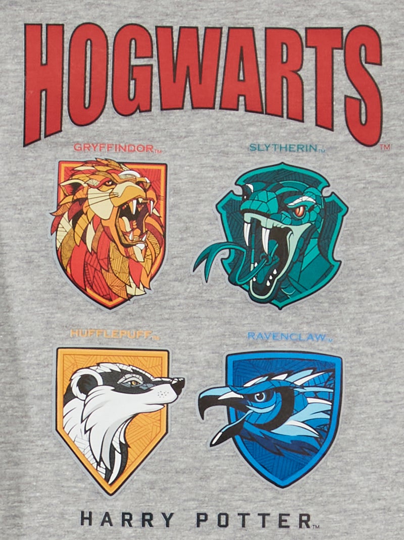 Pull Harry Potter : Achat occasion | Sweats longs (homme) Primark Gris Très bon état