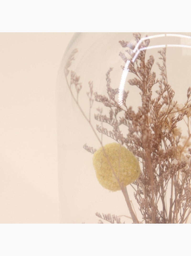 Déco à poser cloche avec fleurs séchées 17x14cm Beige - Kiabi