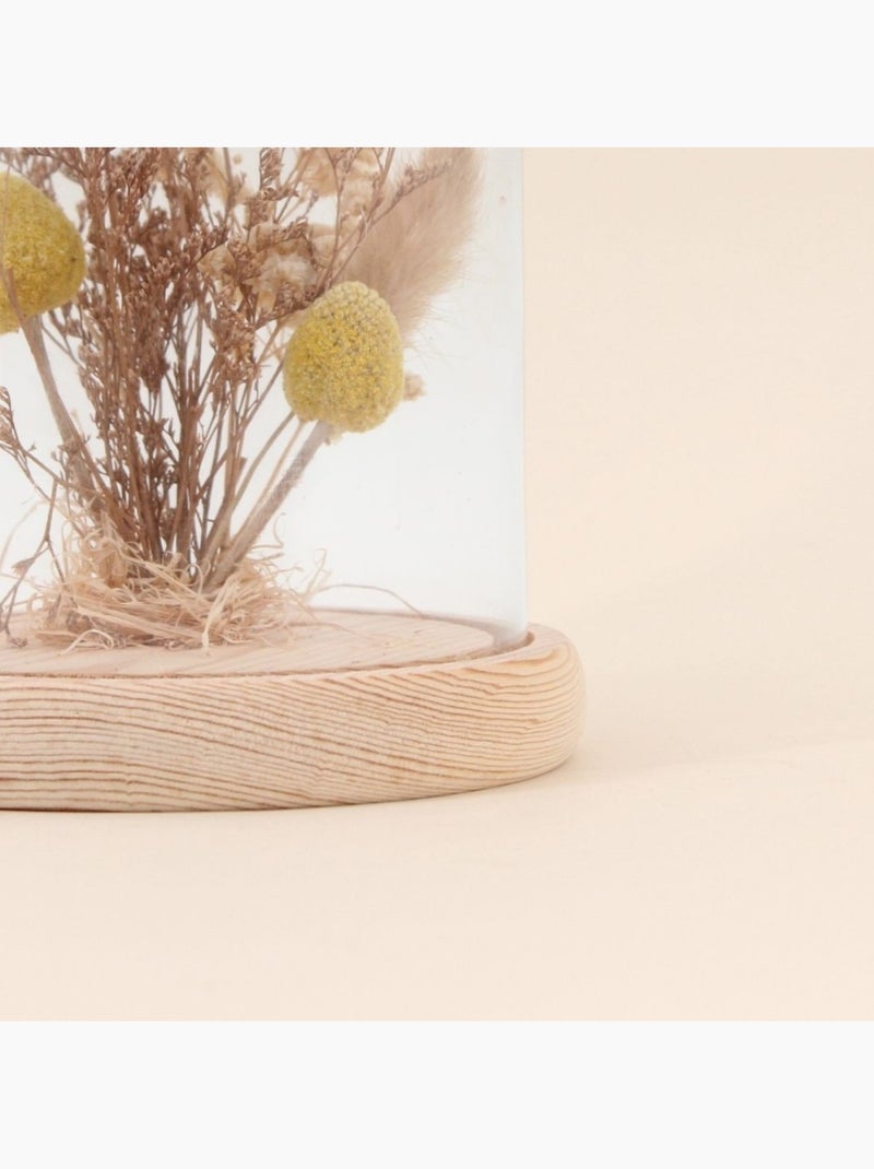 Déco à poser cloche avec fleurs séchées 17x14cm Beige - Kiabi