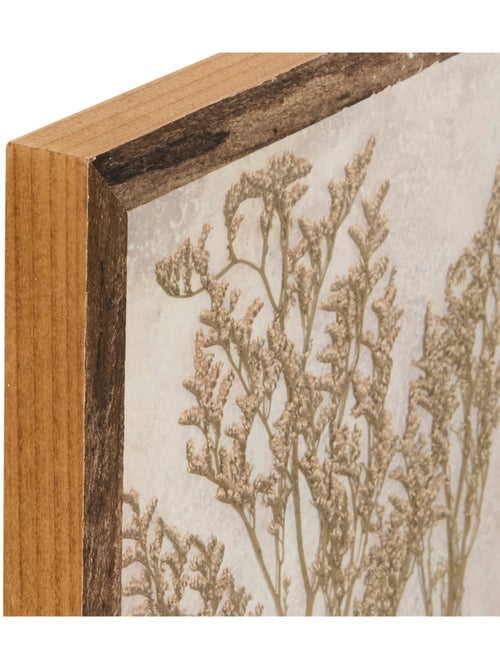 Décoration murale fleurs séchées en cadre bois pin JONAS - Kiabi