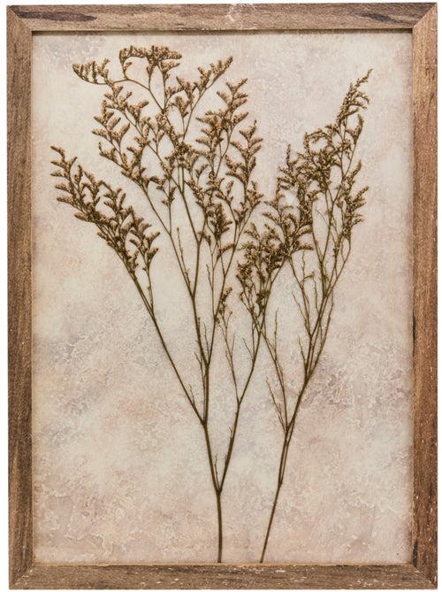 Décoration murale fleurs séchées en cadre bois pin JONAS - Kiabi