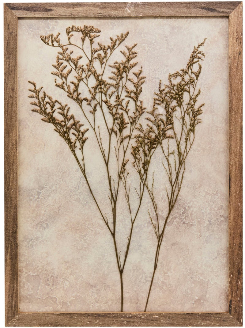 Décoration murale fleurs séchées en cadre bois pin JONAS Beige - Kiabi