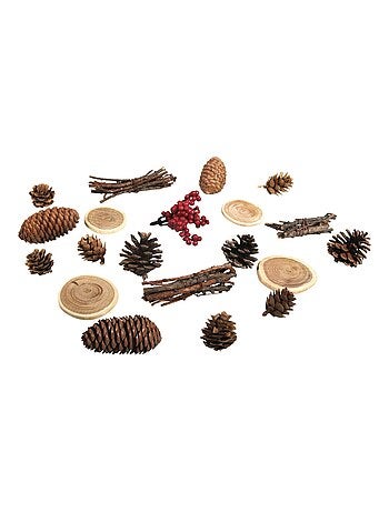Décorations naturelles automne et Noël - 20 Cônes, bois et baies - Kiabi