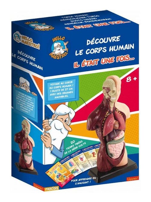 Découvre le corps humain avec hello maestro - il était une fois la vie - Kiabi