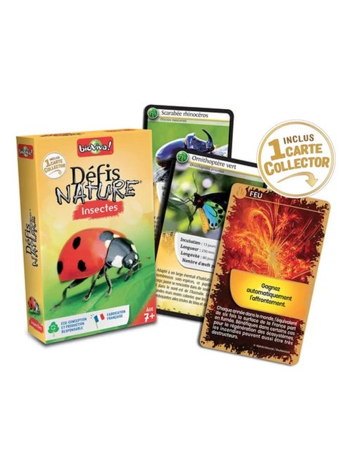 Defis Nature - Les insectes - Kiabi