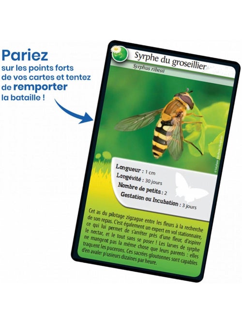 Défis nature abeilles et autres pollinisateurs - Kiabi