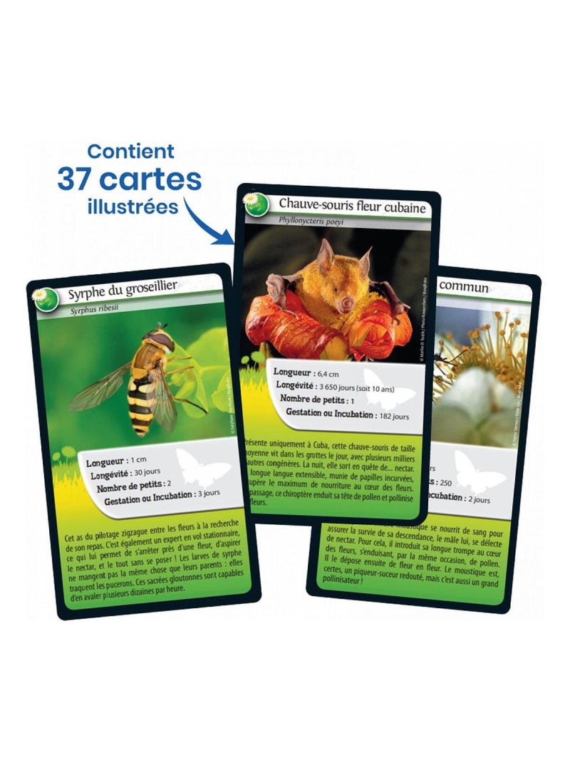 Défis nature abeilles et autres pollinisateurs N/A - Kiabi