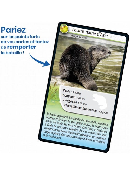 Défis nature animaux d'eau douce - Kiabi
