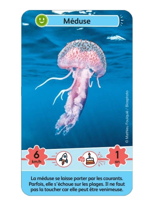 Défis Nature Junior - Merveilles de la mer - Kiabi