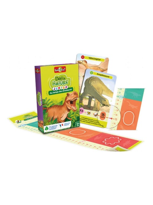 Défis Nature Junior : Au temps des dinosaures - Kiabi