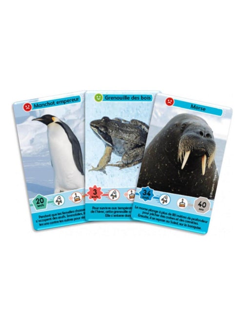 Défis Nature Junior : Royaumes du froid - Kiabi