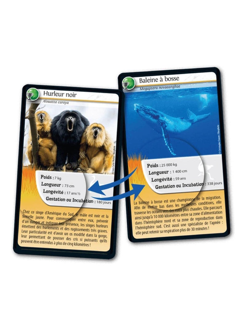 Défis Nature : Records des animaux N/A - Kiabi