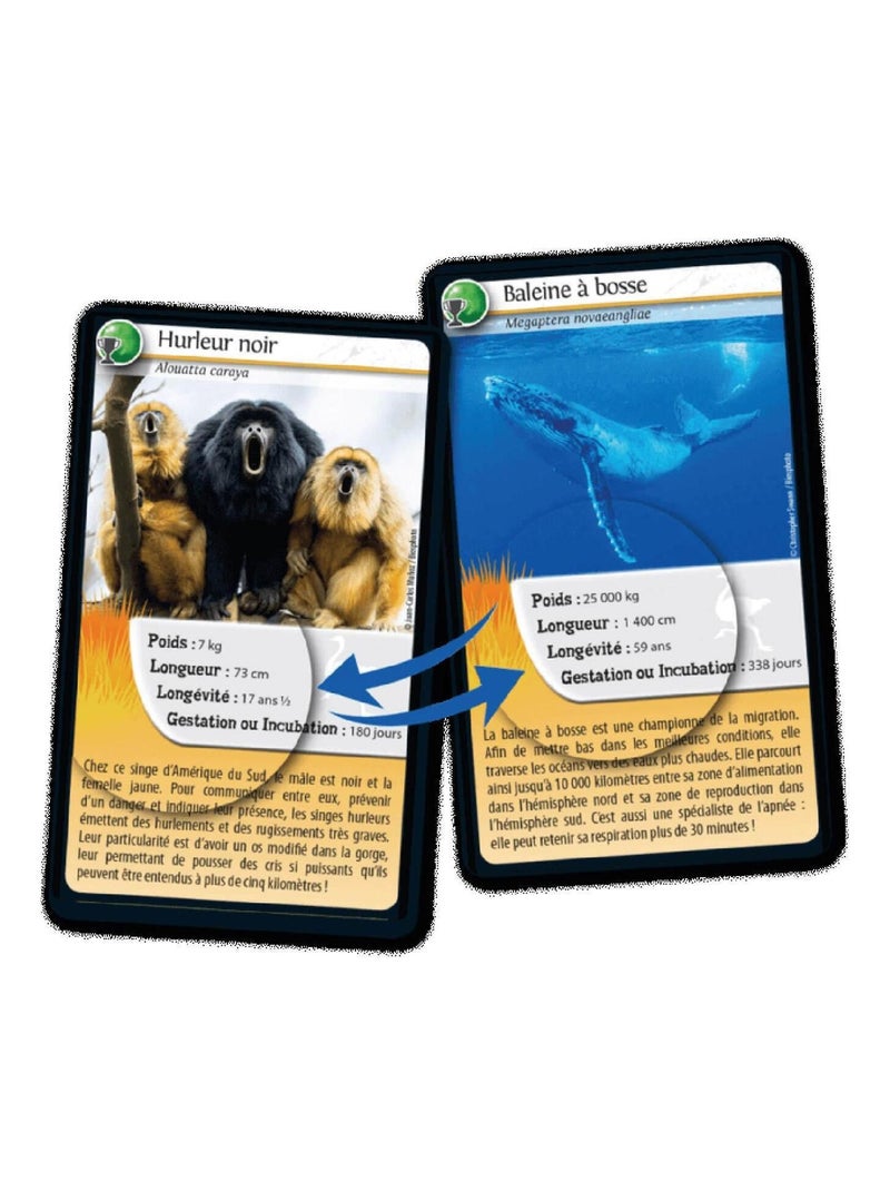 Défis Nature : Records des animaux N/A - Kiabi