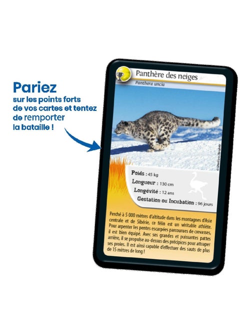 Défis Nature : Records des animaux - Kiabi
