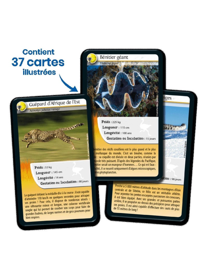 Défis Nature : Records des animaux N/A - Kiabi