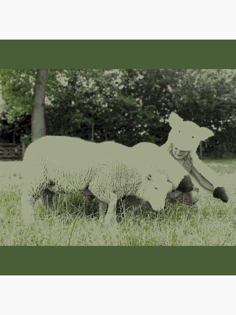 Déguisement 3 en 1 Mouton blanc - Plaid, Déguisement et Tapis Multicolore - Kiabi