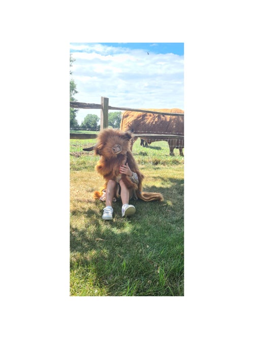 Déguisement 3 en 1 Vache Ecossaise - Plaid, Déguisement et Tapis - Kiabi