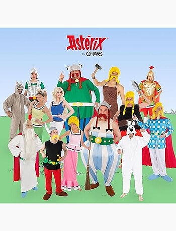 Déguisement Officiel Astérix – Costume Licence 9 pièces – Adulte