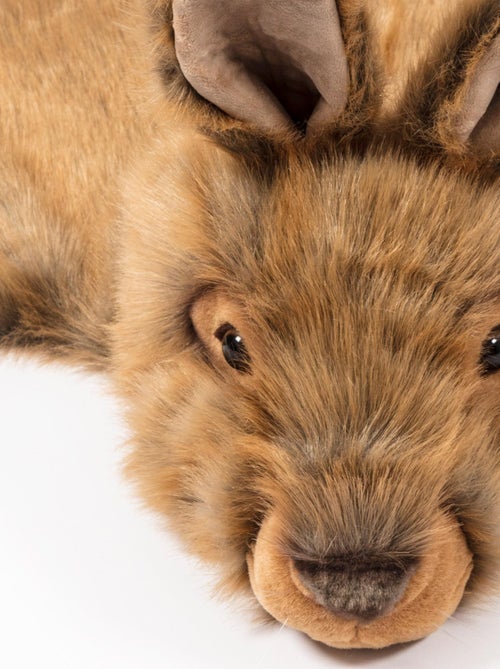 Déguisement en peluche pour enfant Forêt Lièvre Brun Lewis - Kiabi