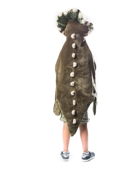 Déguisement en peluche pour enfant Préhistorique Dinosaure Adam - Kiabi