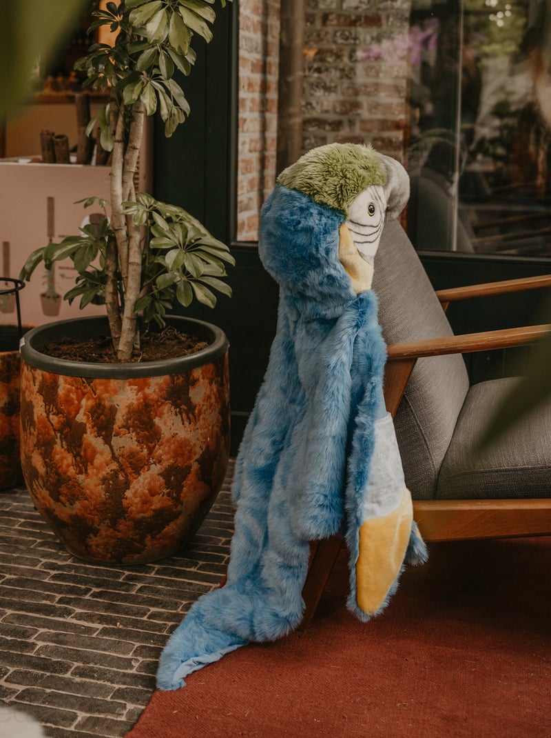 Déguisement en peluche pour enfant Savane Parrot le perroquet Bleu - Kiabi