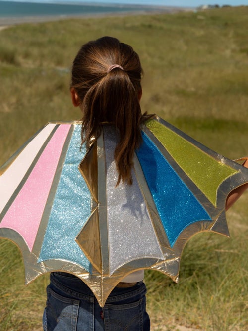 Déguisement enfant ailes de dragon multicolores Labay - Kiabi